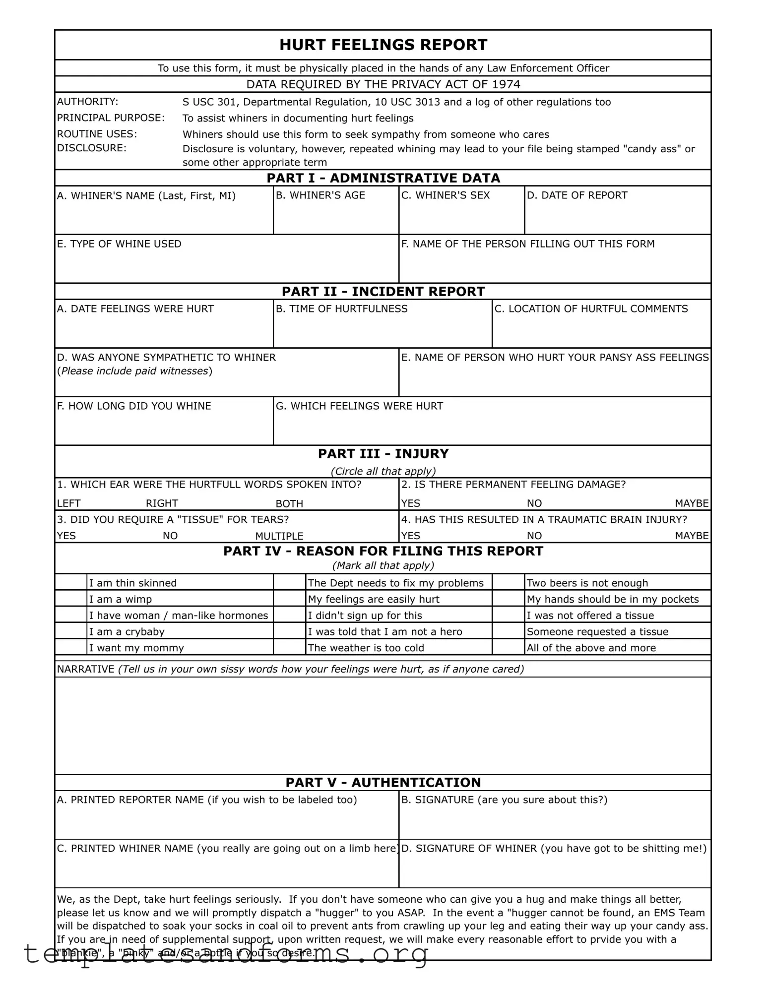 Fill in a Valid Hurt Feelings Report Form