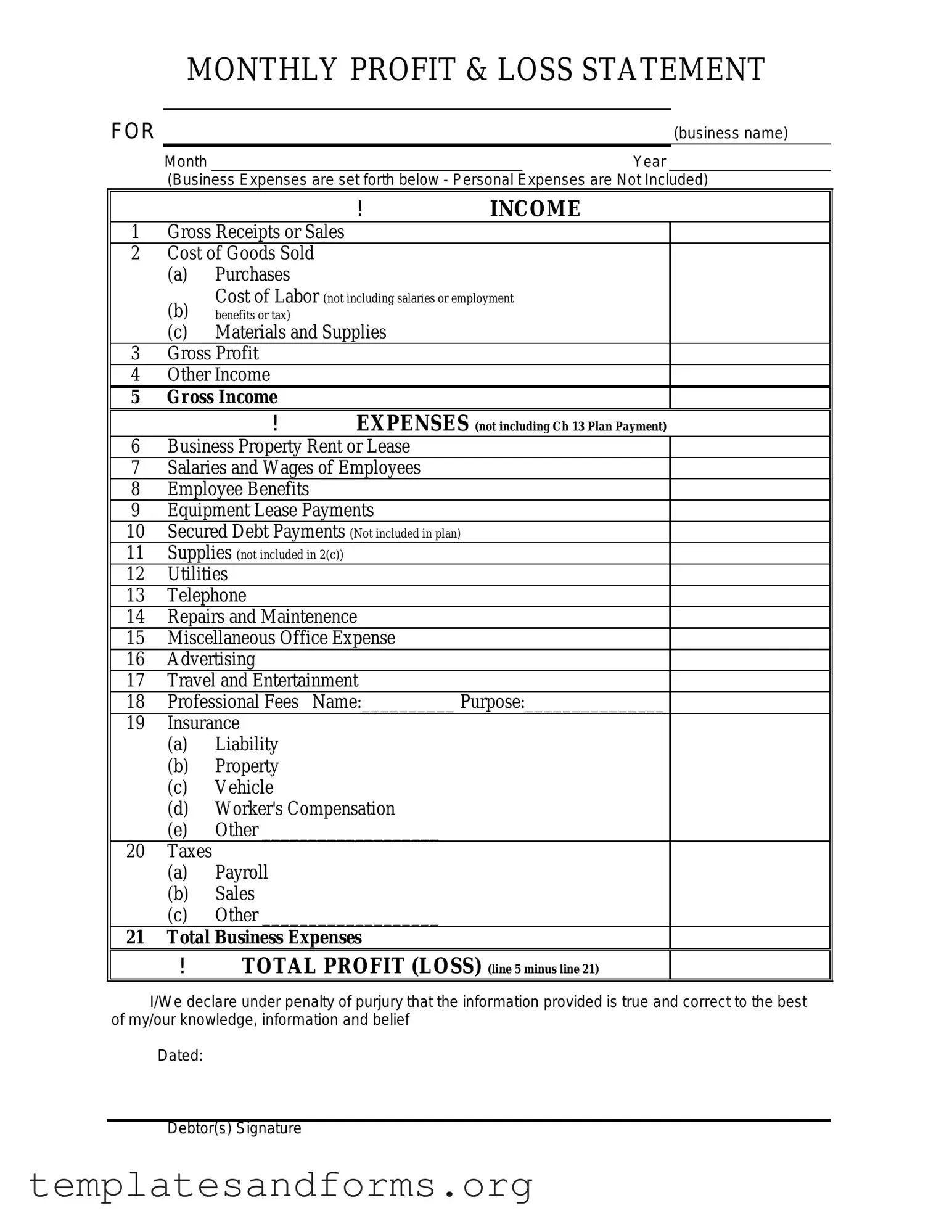 Fill in a Valid Profit And Loss Form