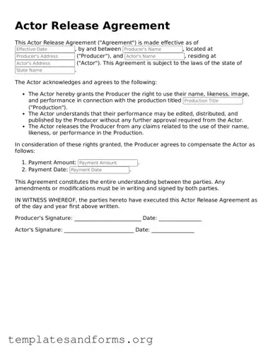 Blank Actor Release Document