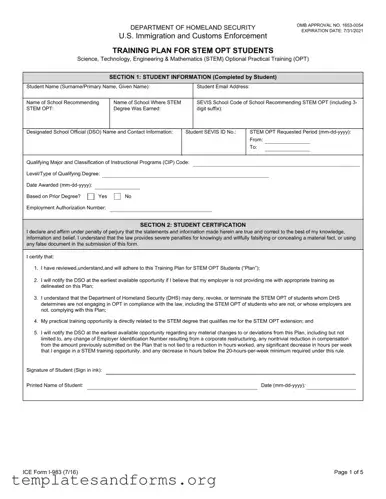 Fill in a Valid ICE I-983 Form