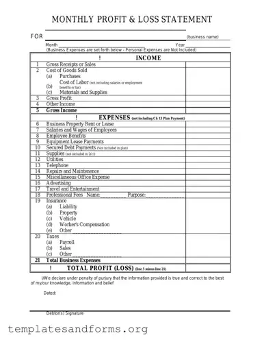 Fill in a Valid Profit And Loss Form