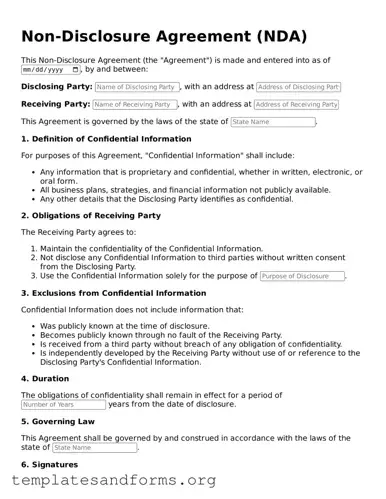 Blank Non-disclosure Agreement Document