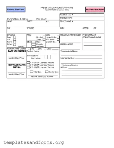 Fill in a Valid Rabies Certificate Form